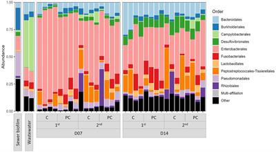 Development of an in vitro biofilm model for the study of the impact of fluoroquinolones on <mark class="highlighted">sewer</mark> biofilm microbiota